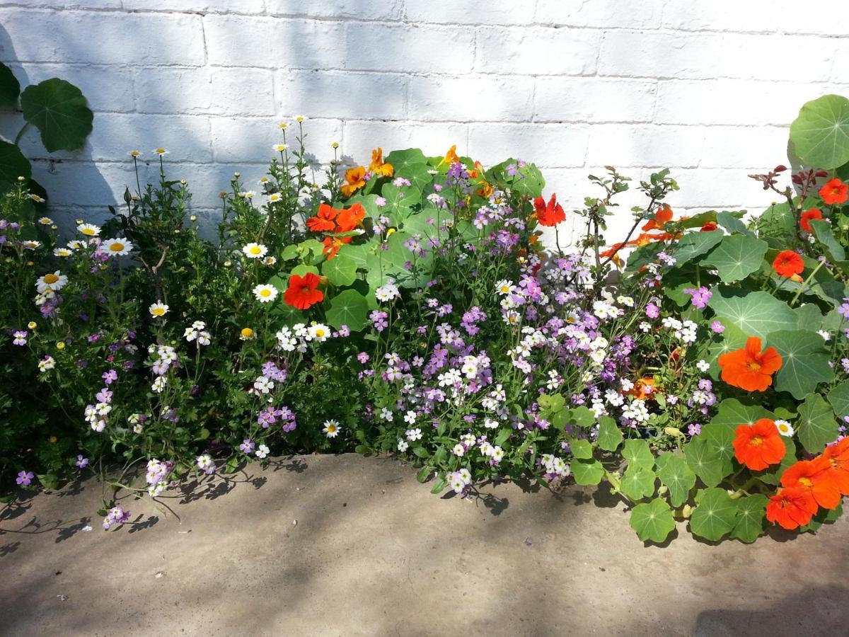 יוהנסבורג Agterplaas Guesthouse Pty Ltd מראה חיצוני תמונה